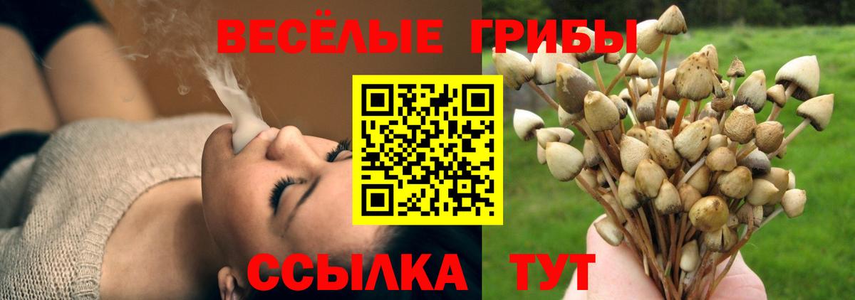 Галлюциногенные грибы MAGIC MUSHROOMS  Галлюциногенные грибы мицелий  Вход с VPN  Аксай 